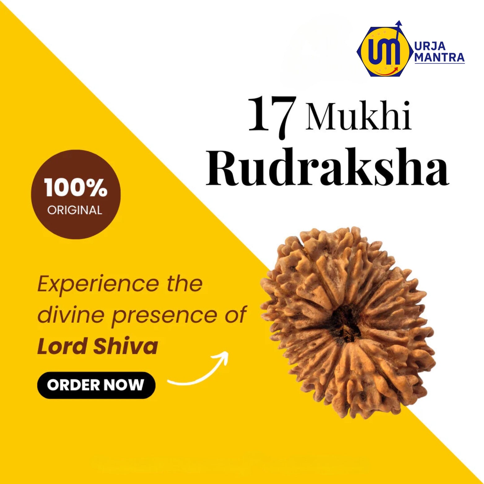 17 Mukhi Rudraksha