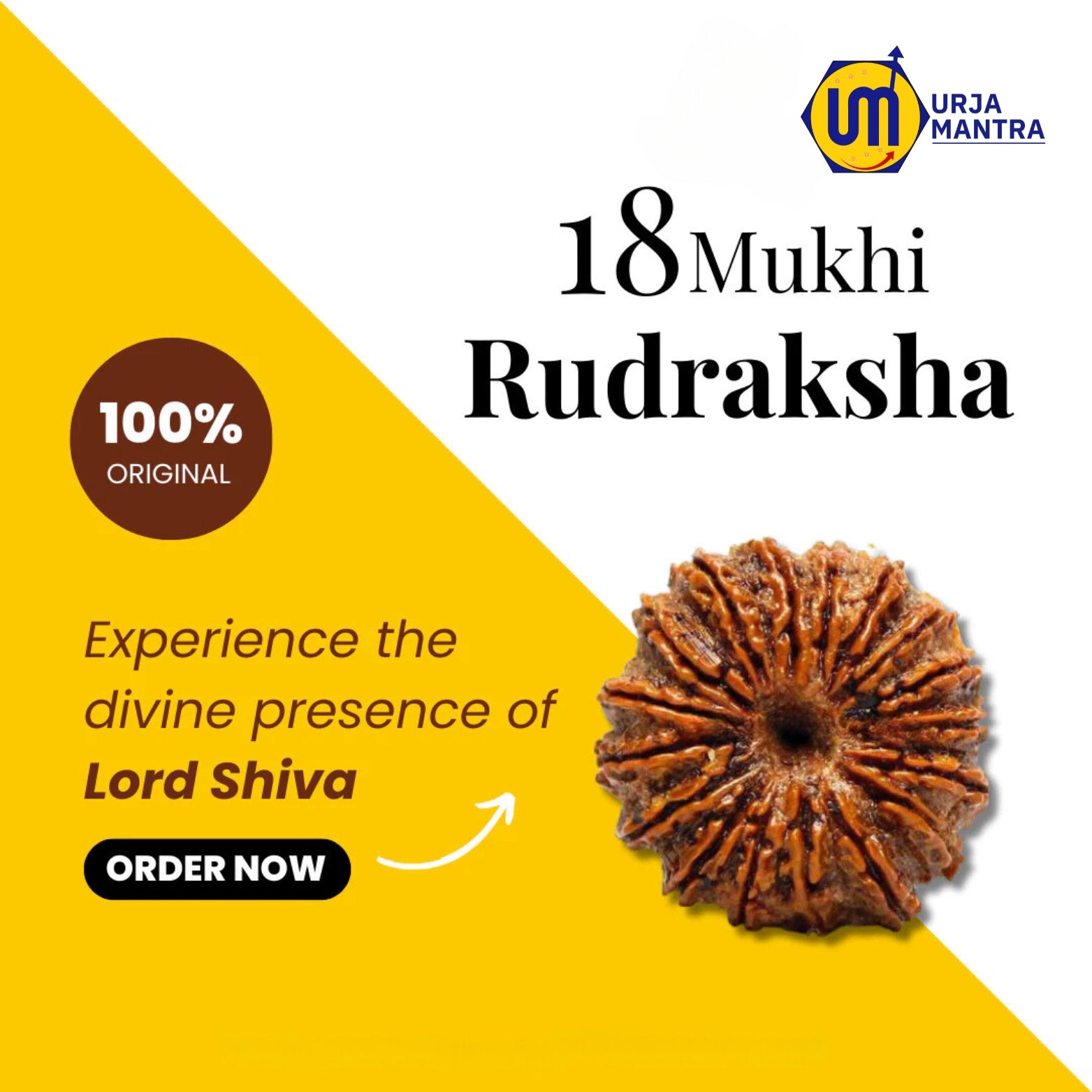 18 Mukhi Rudraksha