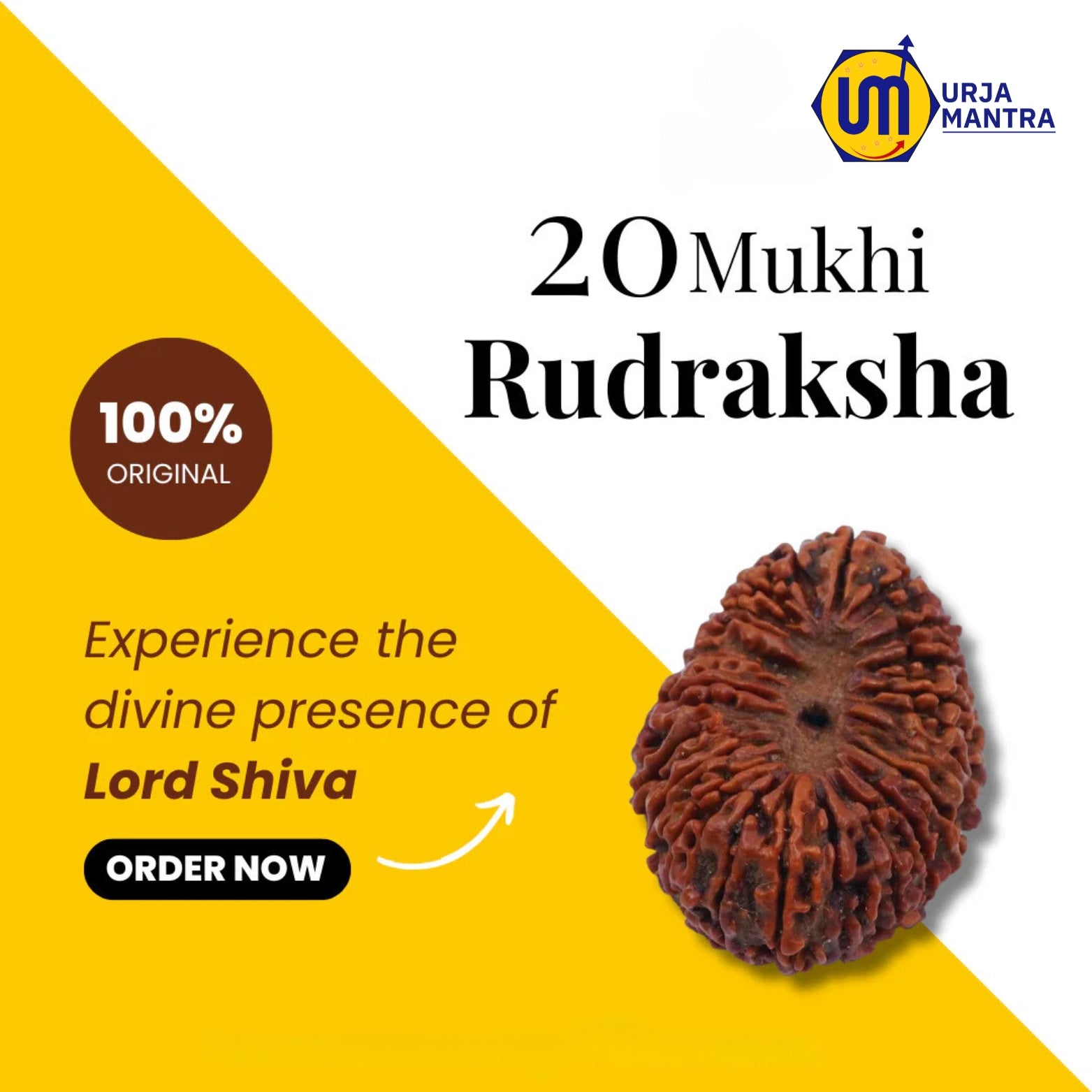 20 Mukhi Rudraksha