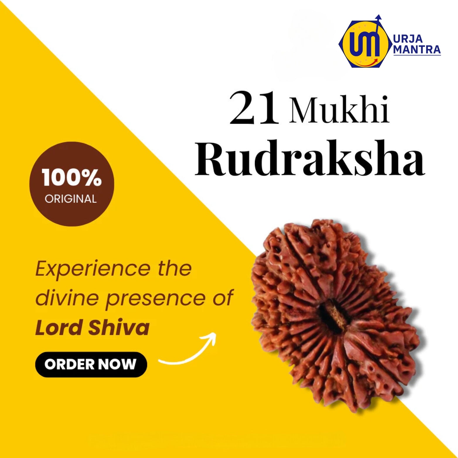 21 Mukhi Rudraksha