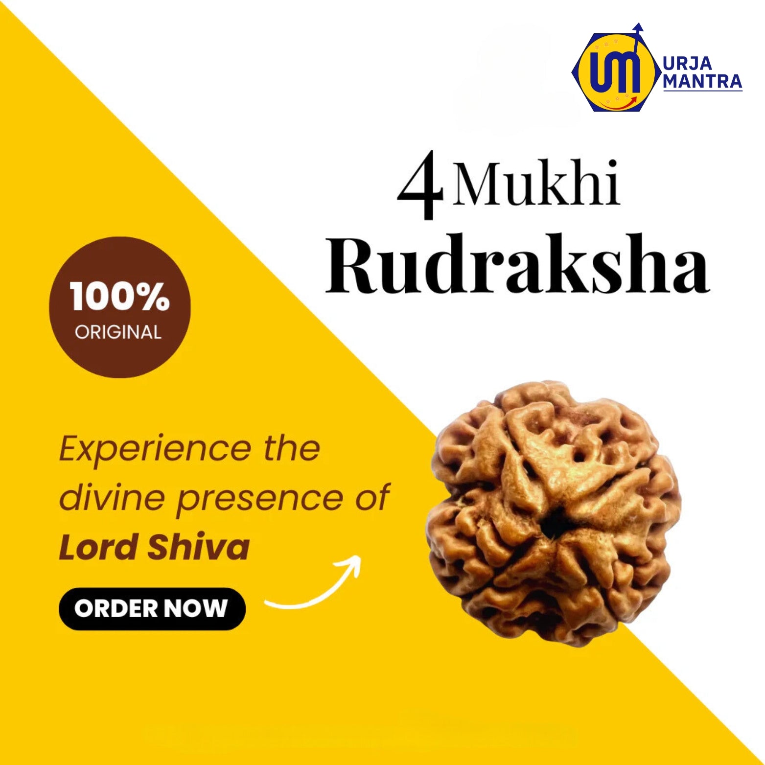 4 Mukhi Rudraksha