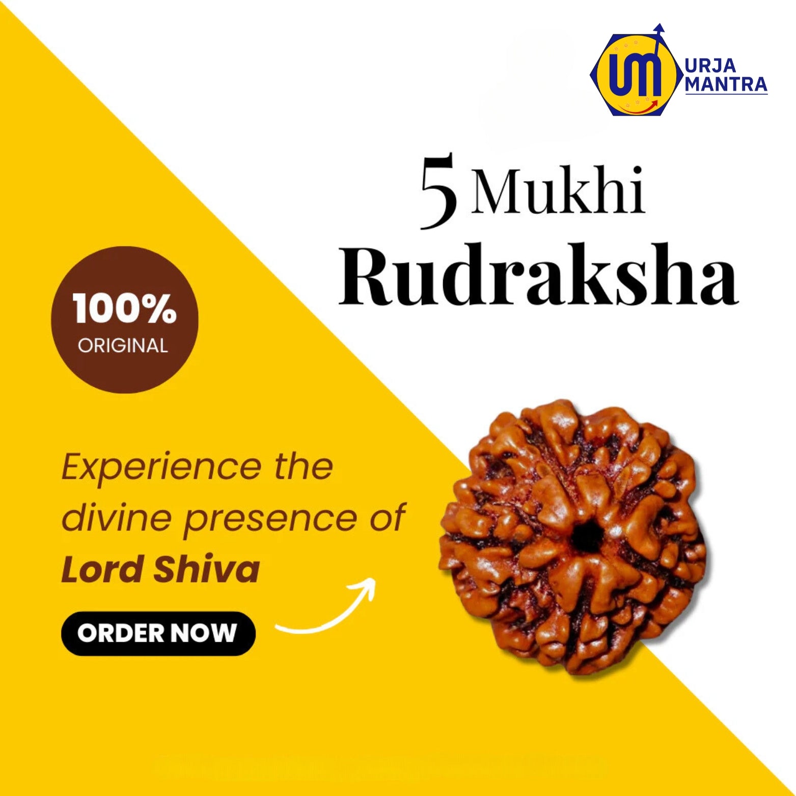 5 Mukhi Rudraksha