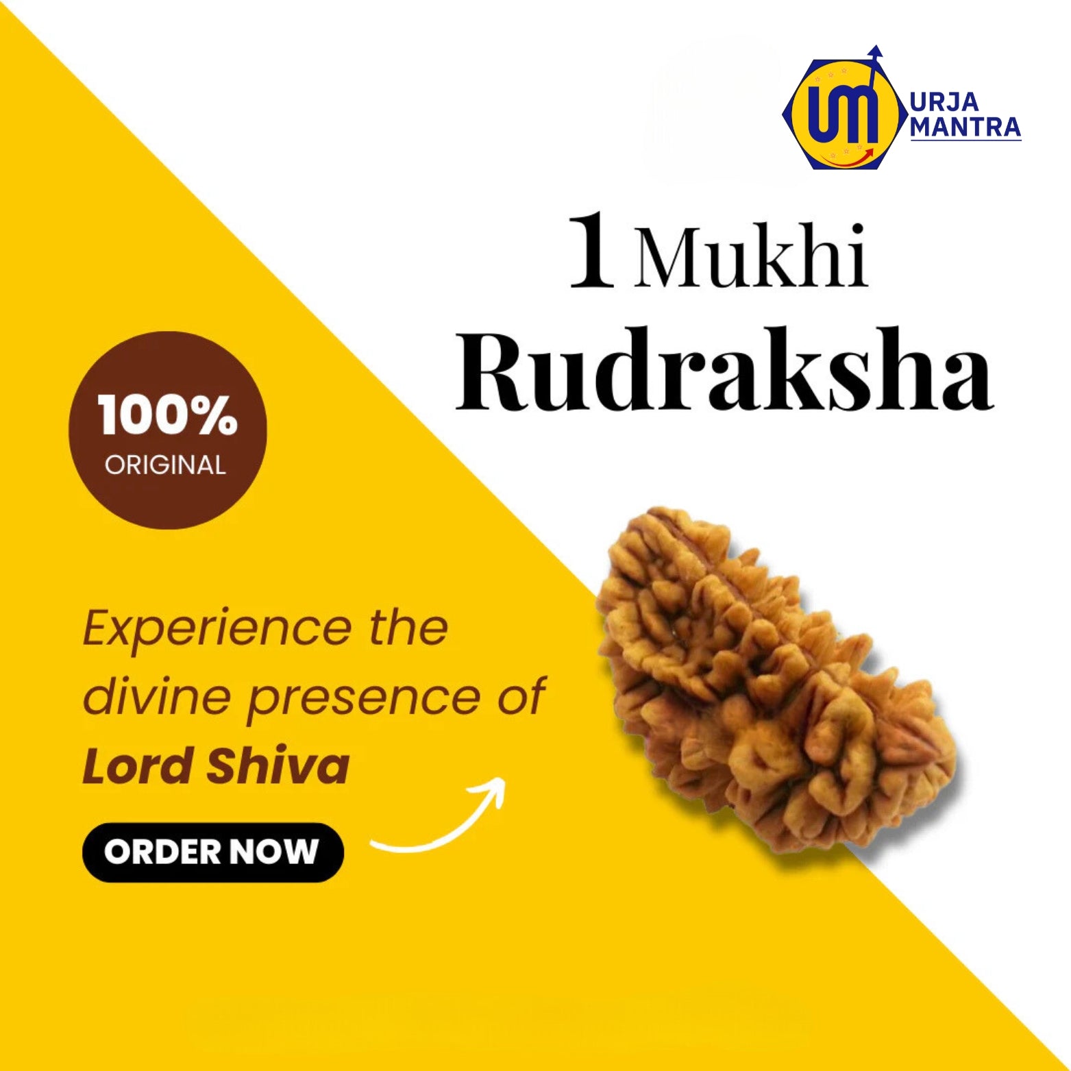 1 Mukhi Rudraksha