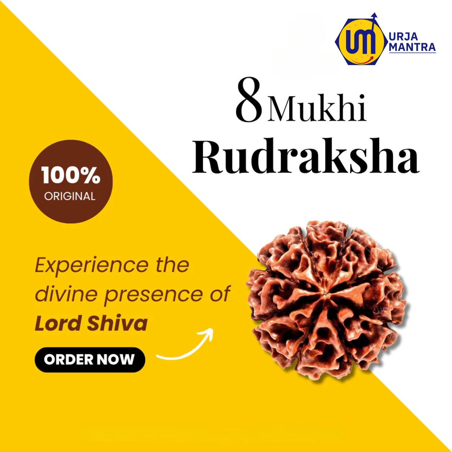 8 Mukhi Rudraksha