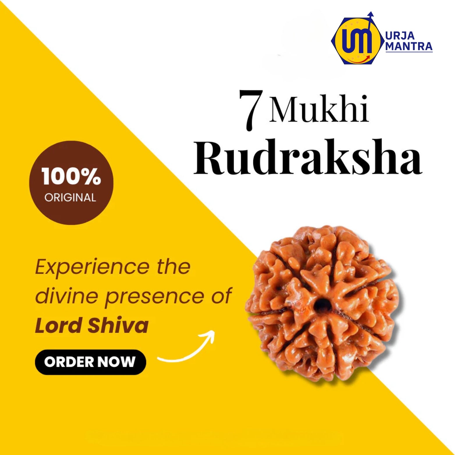 7 Mukhi Nepali Rudraksha