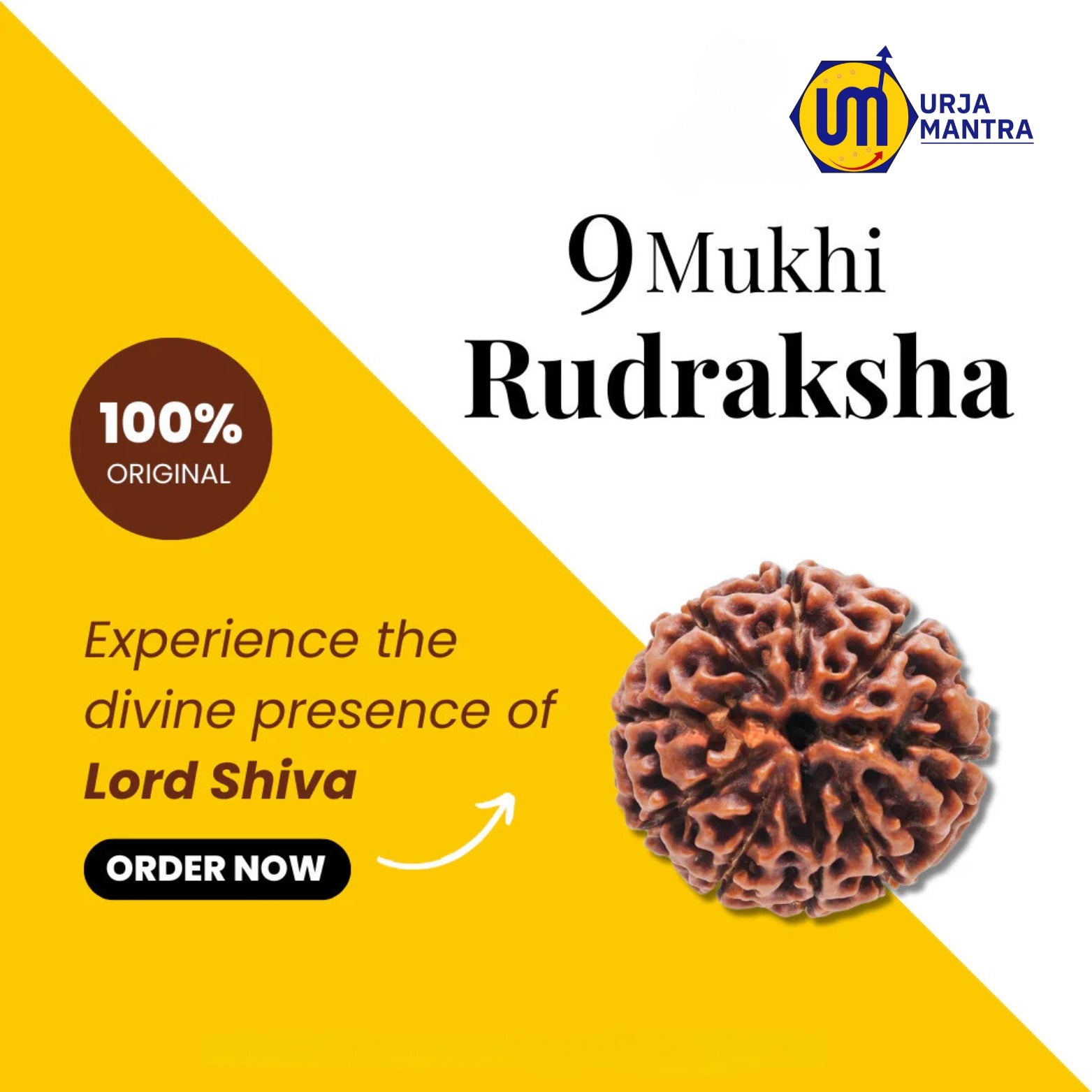 9 Mukhi Rudraksha