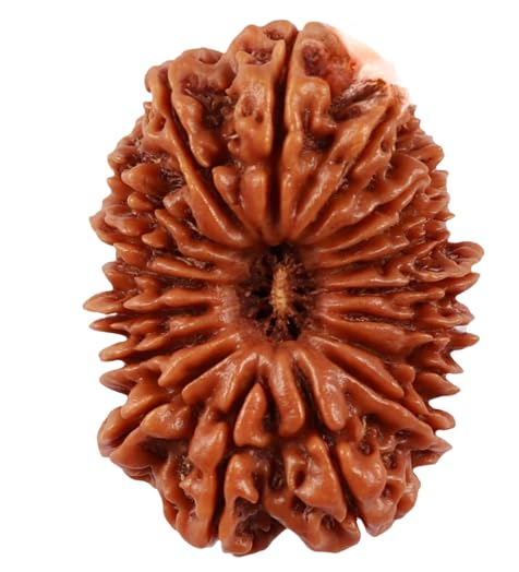 18 Mukhi Rudraksha