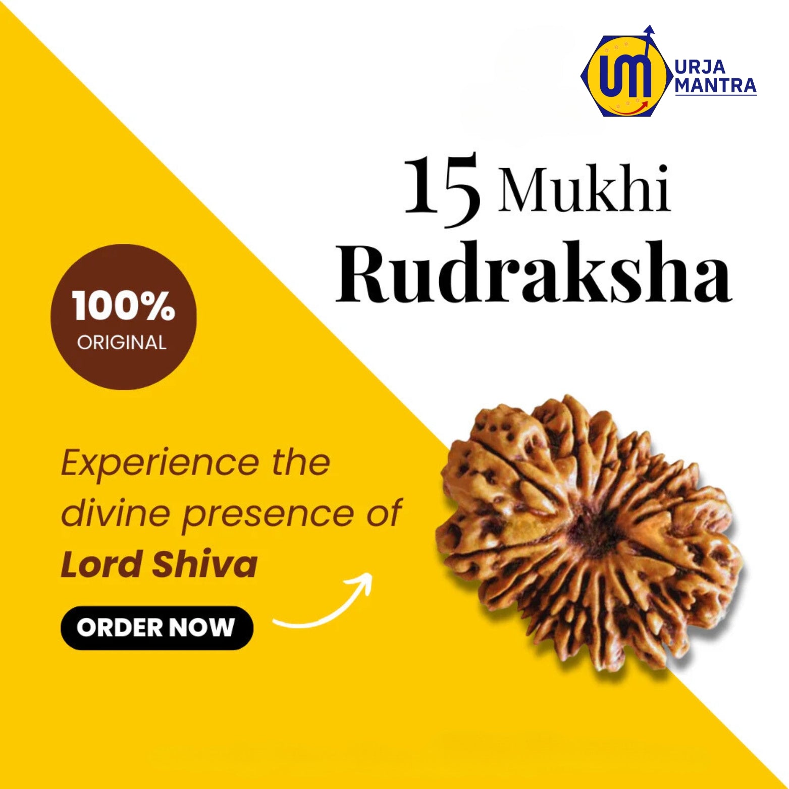 15 Mukhi Rudraksha